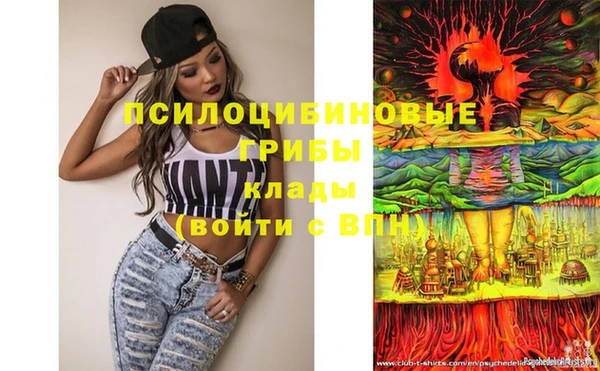 2c-b Гусь-Хрустальный