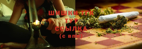 эйфоретик Гусев