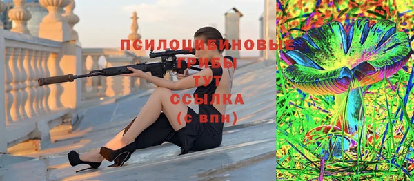 эйфоретик Гусев