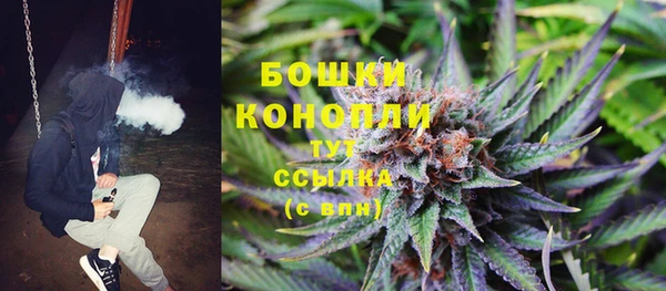 2c-b Гусь-Хрустальный