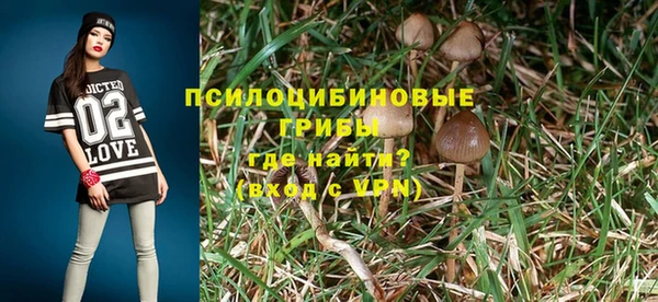 эйфоретик Гусев