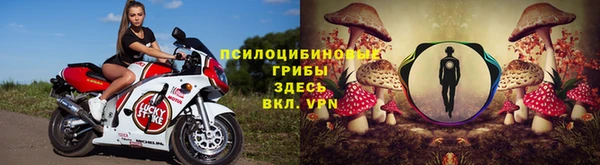 эйфоретик Гусев