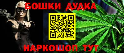 прущие грибы Кандалакша