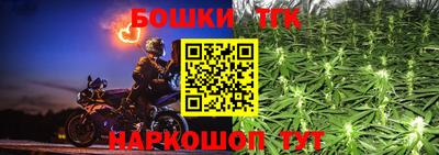 прущие грибы Кандалакша