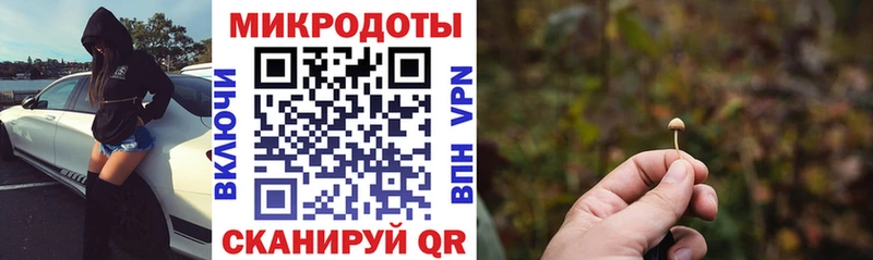 где найти наркотики  Йошкар-Ола  Псилоцибиновые грибы Psilocybe 
