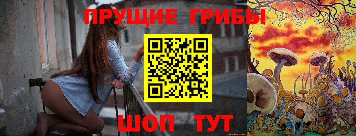 Псилоцибиновые грибы прущие грибы Йошкар-Ола