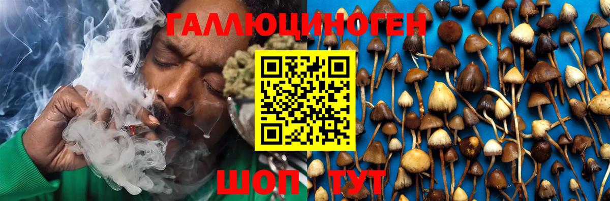 Йошкар-Ола  Галлюциногенные грибы Psilocybe  Галлюциногенные грибы ЛСД  Вход с VPN 
