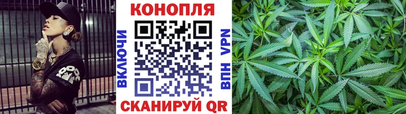 где купить наркотик  Йошкар-Ола  Конопля ГИДРОПОН 